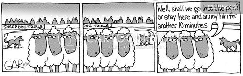 Sheepdog Trial Cartoons And Comics Funny Pictures From CartoonStock