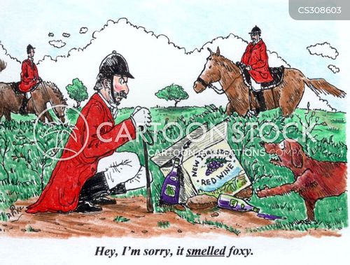 Foxy Cartoons And Comics Funny Pictures From Cartoonstock