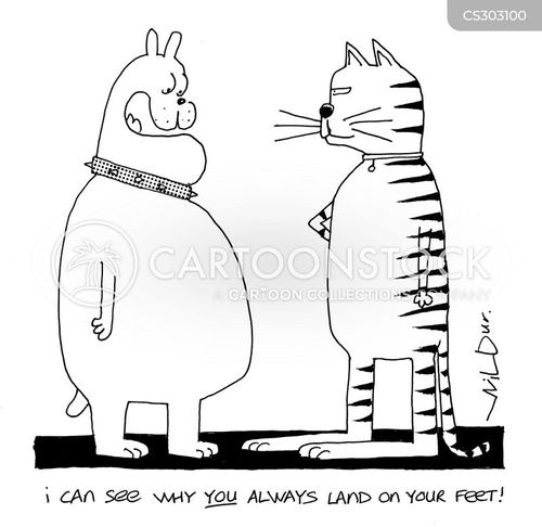 Why Are Dogs Always Under Your Feet