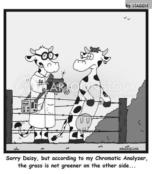 Grass Is Always Greener On The Other Side Cartoons and Comics funny