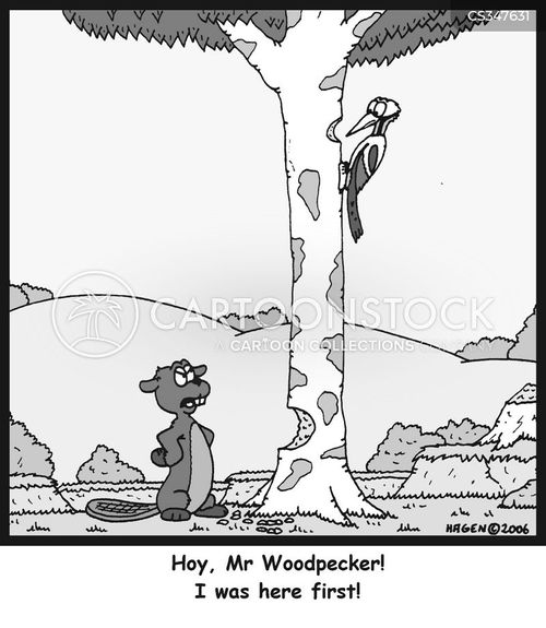 Tree Bark Cartoons and Comics funny pictures from CartoonStock
