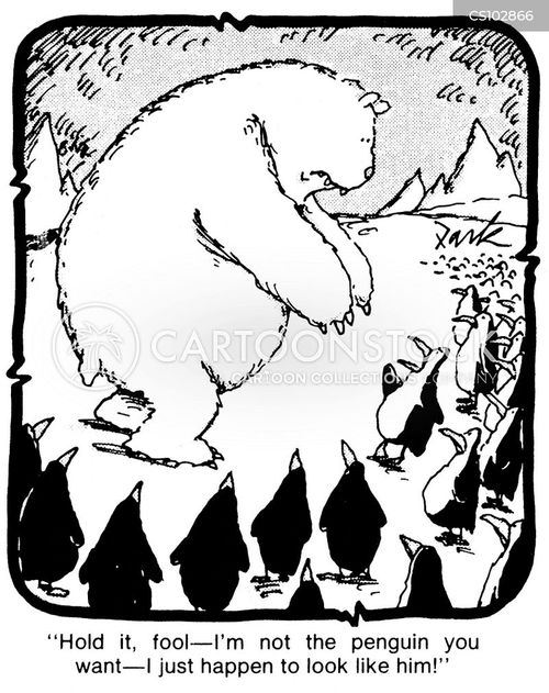Polarbear Cartoons and Comics funny pictures from CartoonStock