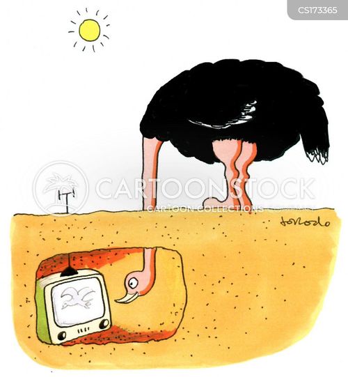 animals-australia-oz-ostriches-televisio