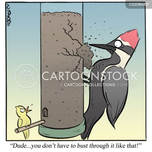Woodpecker Cartoons and Comics funny pictures from CartoonStock