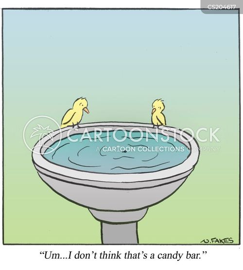 Birdbath Cartoons and Comics funny pictures from CartoonStock