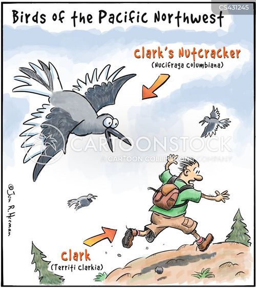 Birdwatcher Cartoons and Comics funny pictures from CartoonStock