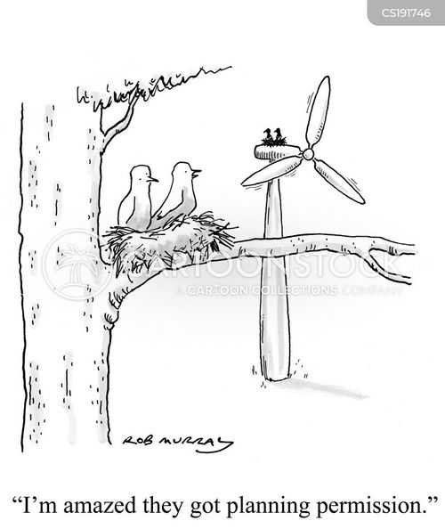 Cartoons Und Karikaturen Mit Hausbau