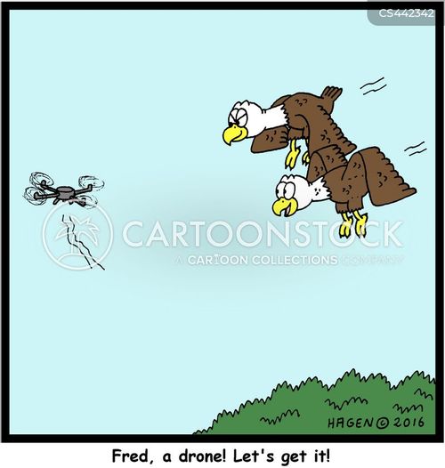 Aerial Predators Cartoons and Comics - funny pictures from CartoonStock