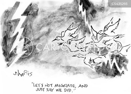 Storm Migration Cartoons and Comics - funny pictures from CartoonStock