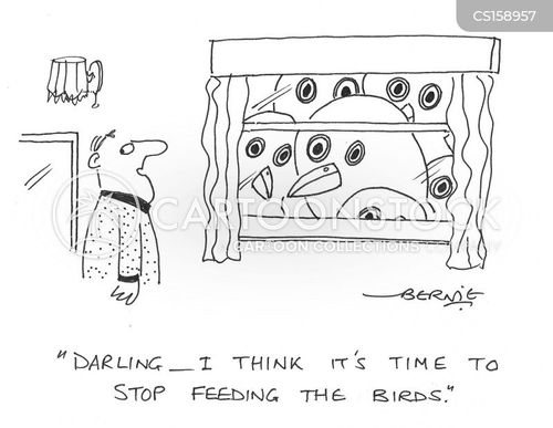 Bird Seed Cartoons and Comics funny pictures from CartoonStock