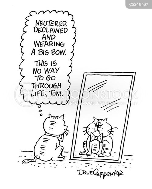 Tomcat Cartoons and Comics funny pictures from CartoonStock