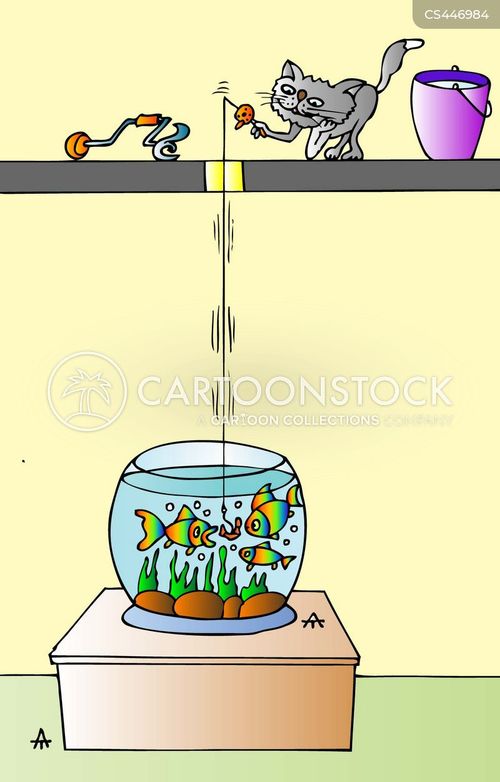 Goldfish Bowls Cartoons and Comics funny pictures from CartoonStock