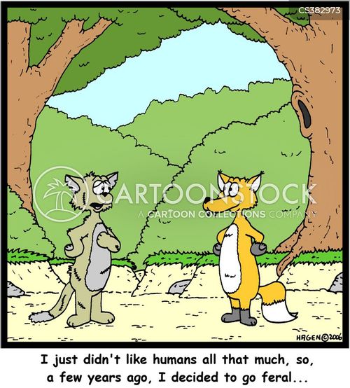 Wild Cats Cartoons And Comics Funny Pictures From CartoonStock