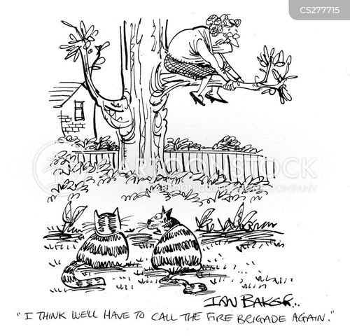 Stuck Up A Tree Cartoons and Comics funny pictures from CartoonStock