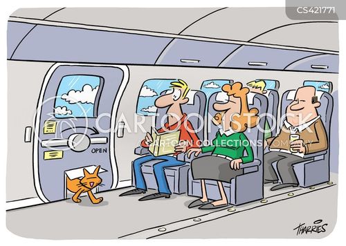 Cat Flap Cartoons and Comics funny pictures from CartoonStock