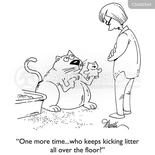 Kitty Litter Cartoons and Comics funny pictures from CartoonStock
