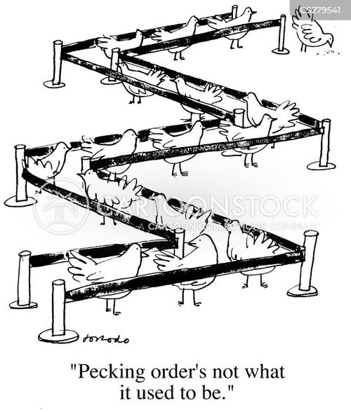 Queue System Cartoons and Comics funny pictures from CartoonStock