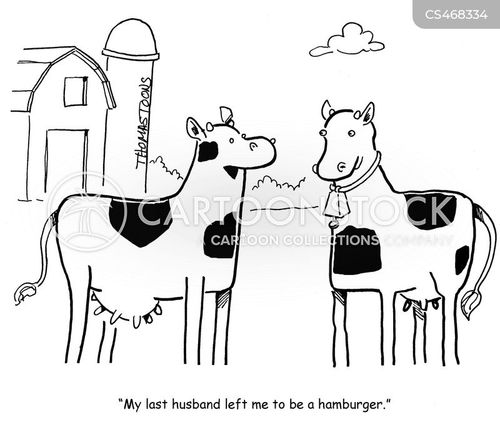 animals-cow-bovine-cattle-husband-widows-tbrn623_low.jpg