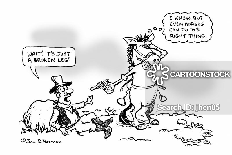 animals-cowboy-horses-horseriders-rider-western-jhen85_low.jpg