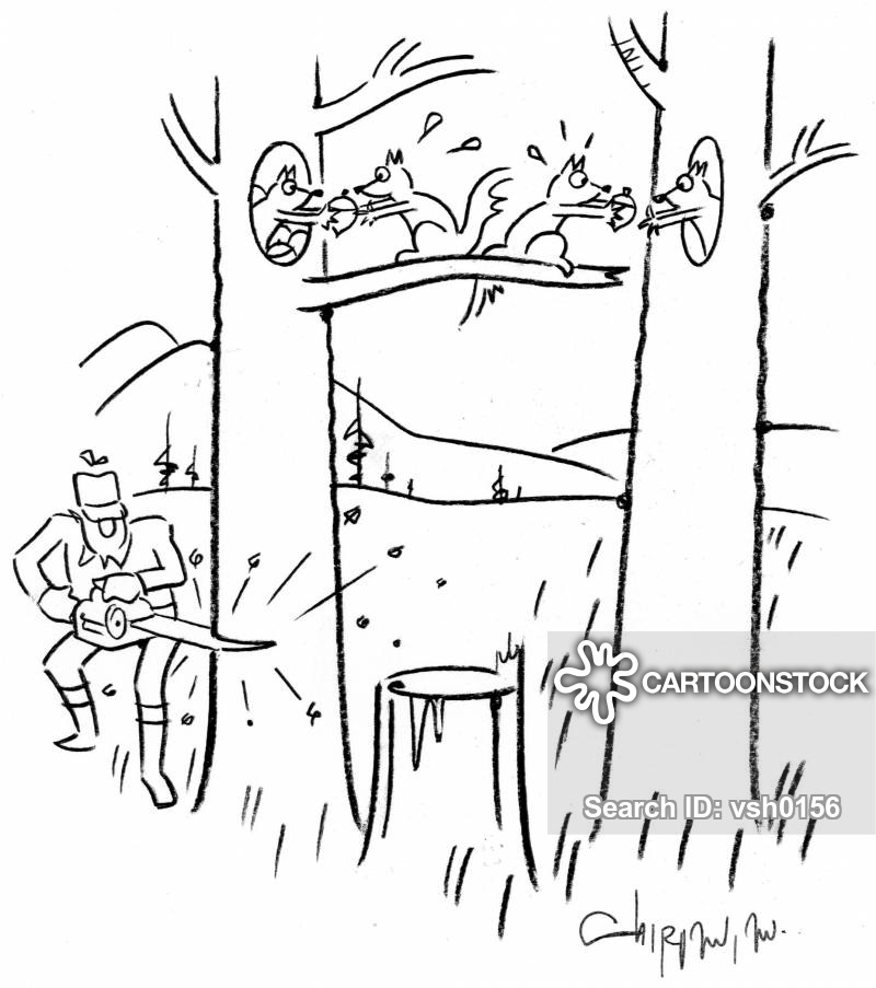 Tree Fellers Cartoons and Comics funny pictures from CartoonStock