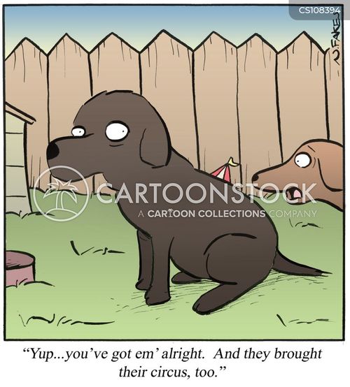 Flea Circus Cartoons and Comics funny pictures from CartoonStock