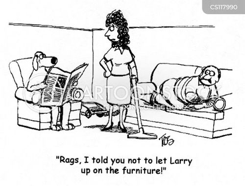 Dog On The Furniture Cartoons and Comics funny pictures from CartoonStock