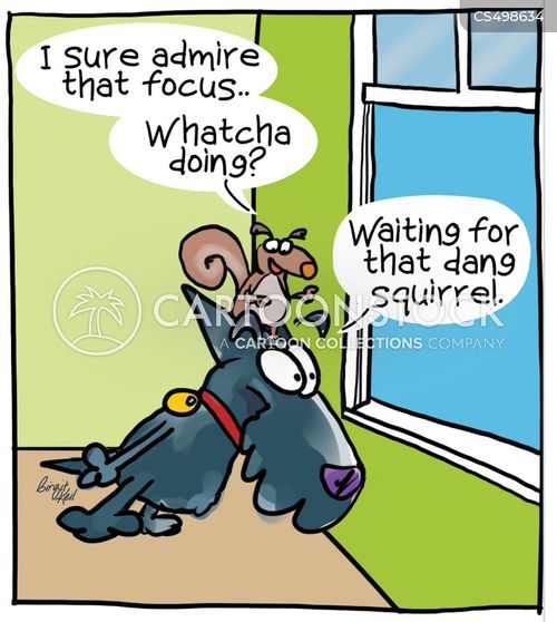 Chasing Squirrels Cartoons and Comics funny pictures from CartoonStock
