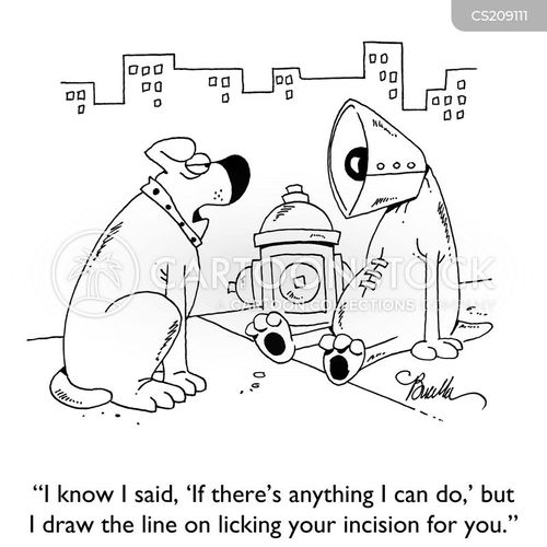 Dog Cone Cartoons and Comics funny pictures from CartoonStock