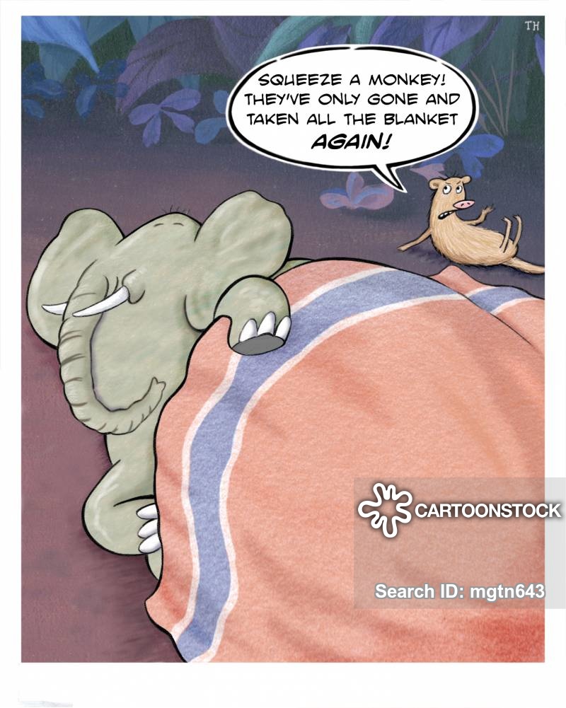 Duvet Hoggers Cartoons and Comics funny pictures from CartoonStock