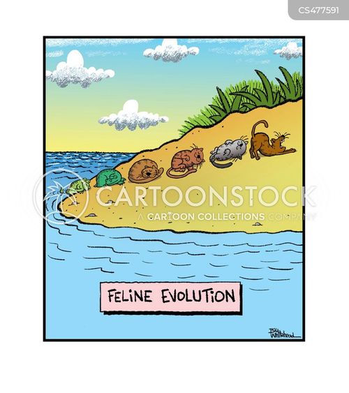 Pet Evolution Cartoons and Comics - funny pictures from CartoonStock
