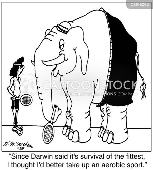 Racquetball Cartoons and Comics funny pictures from CartoonStock