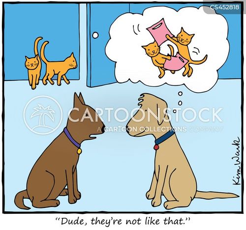 Pillow Fighting Cartoons and Comics funny pictures from CartoonStock