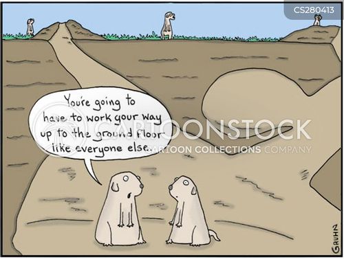 The Ground Floor: What's Really Happening Out There?