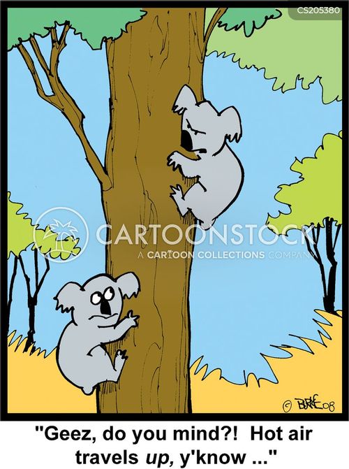 Koala Cartoons And Comics Funny Pictures From Cartoonstock