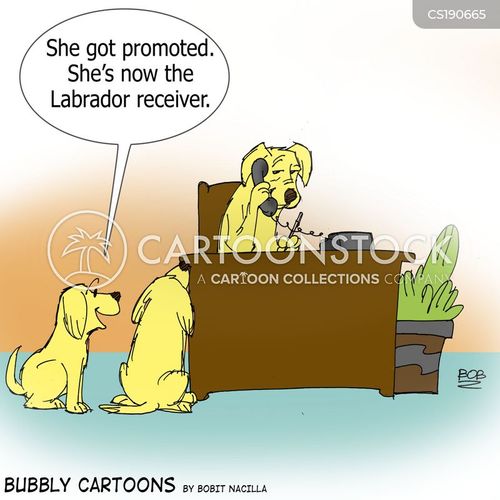 Labrador Cartoons and Comics funny pictures from CartoonStock
