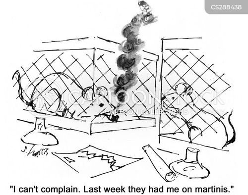 Lab Rat Humor Laboratory Experiment Cartoons and Comics - funny pictures from ...