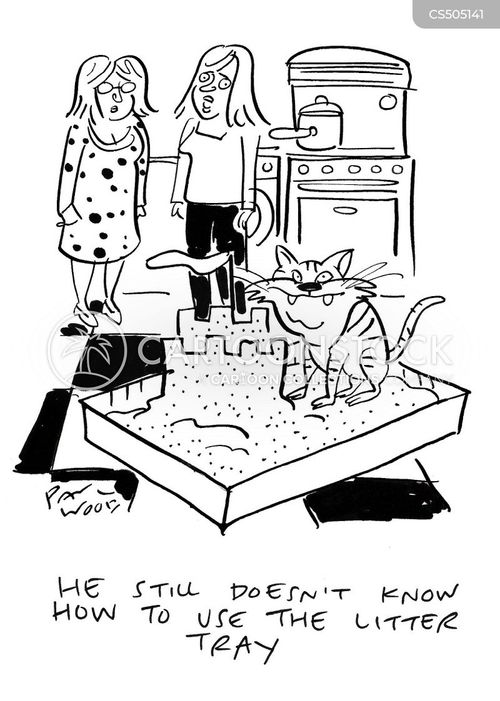 Litter Box Cartoons and Comics funny pictures from CartoonStock