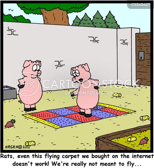When Pigs Fly Cartoons and Comics funny pictures from CartoonStock