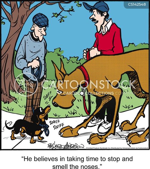 Stop And Smell The Roses Cartoons and Comics funny pictures from