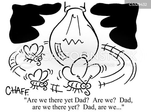 animals-moth-fly-light-lightbulb-bulb-gc