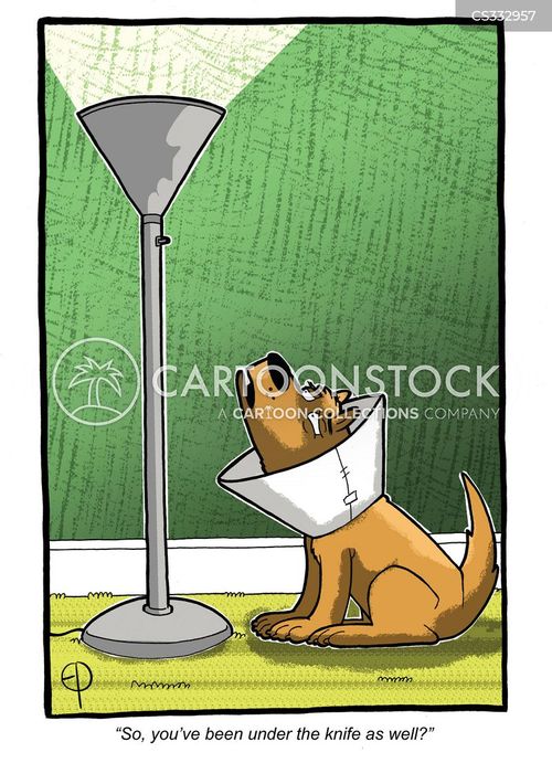 Cone Collars Cartoons and Comics funny pictures from CartoonStock