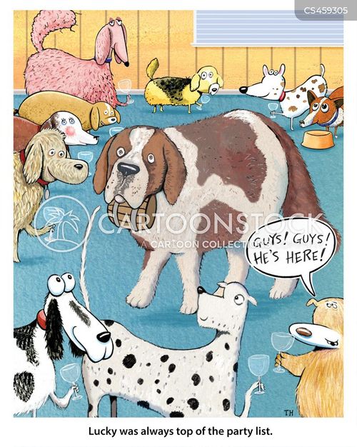 st bernard dog brandy