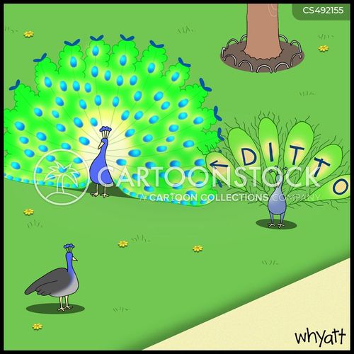 Peacock Feathers Cartoons and Comics - funny pictures from CartoonStock
