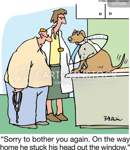 head plastic cone dogs for Cone Cone cartoon, Cone picture, Cone Cone pictures, funny, cartoons,