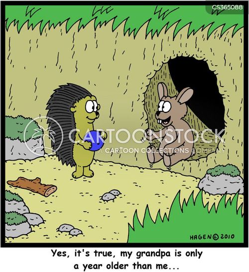 Cartoon Geriatric Rabbit Rabbit Breeds Cartoons and Comics - funny pictures from CartoonStock