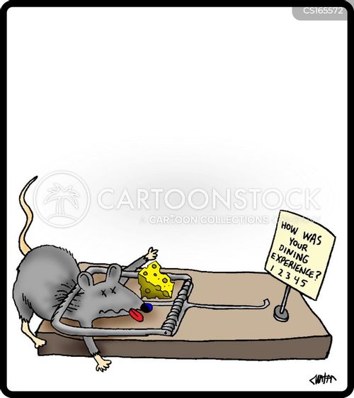 Animated Mouse Trap Animated Mouse Trap