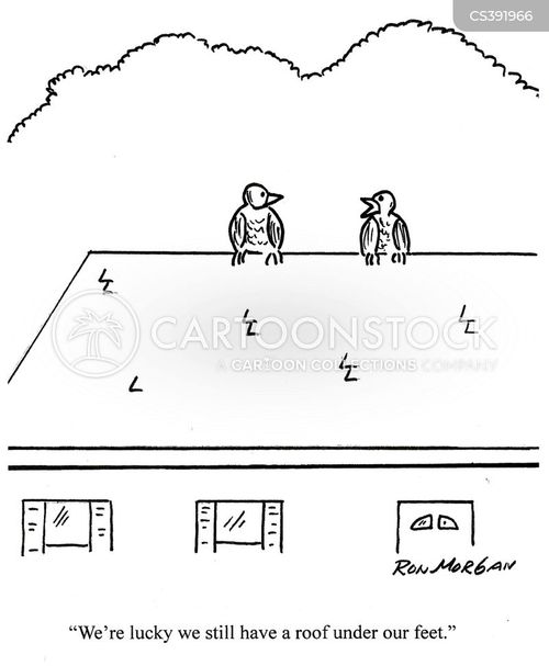 Roof Over Your Head Cartoons and Comics funny pictures from CartoonStock