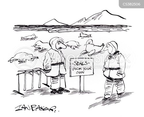 Clubbing Seals Cartoons and Comics funny pictures from CartoonStock
