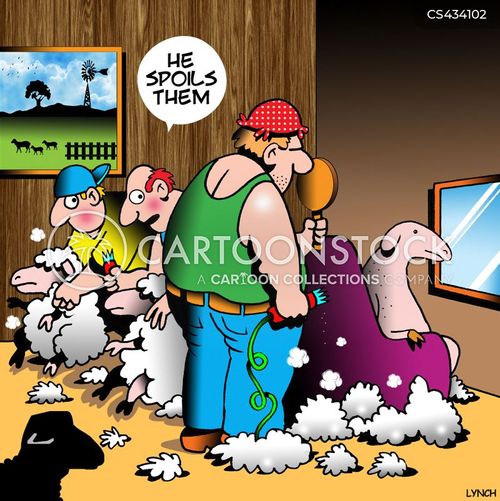 Sheep Shearing Cartoons and Comics funny pictures from CartoonStock
