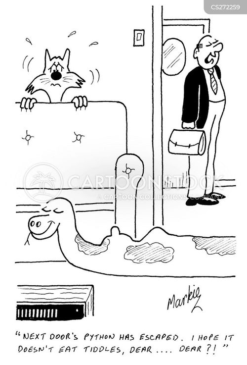 Reticulated Python Cartoons and Comics - funny pictures from CartoonStock